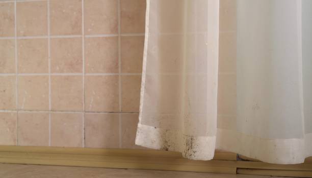Mold Documentation for Insurance Claims in Paducah, KY