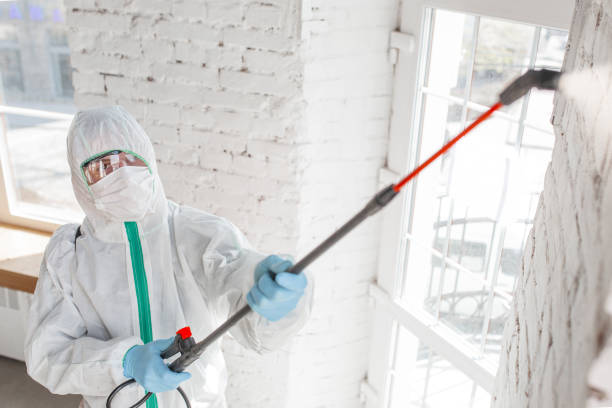 Best Mold Odor Removal Services  in Paducah, KY