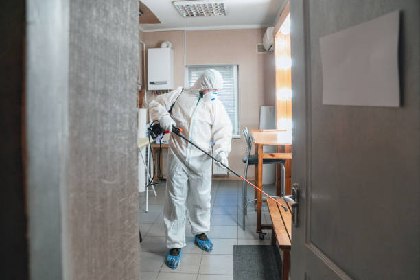 Mold Remediation for Vacation Homes in Paducah, KY