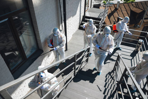 Best Basement Mold Removal  in Paducah, KY