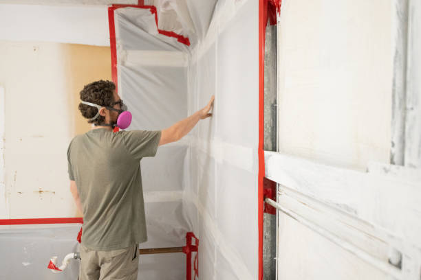 Best Mold Remediation for Healthcare Facilities  in Paducah, KY