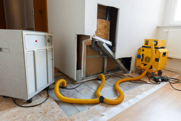 Best Indoor Air Quality Assessment  in Paducah, KY